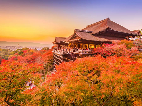 Tour Nhật Bản 6N5Đ: Tokyo | Phú Sĩ | Nagoya | Kyoto | Kansai