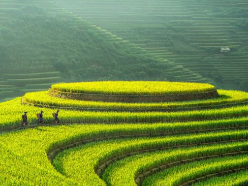 Tour Du Lịch: Hà Nội | Nghĩa Lộ | Mù Cang Chải (3N2Đ)