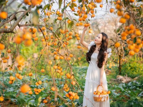 Tour TP.HCM | Hà Nội | Hạ Long | Ninh Bình | Tam Chúc | Mai Châu | Mộc Châu